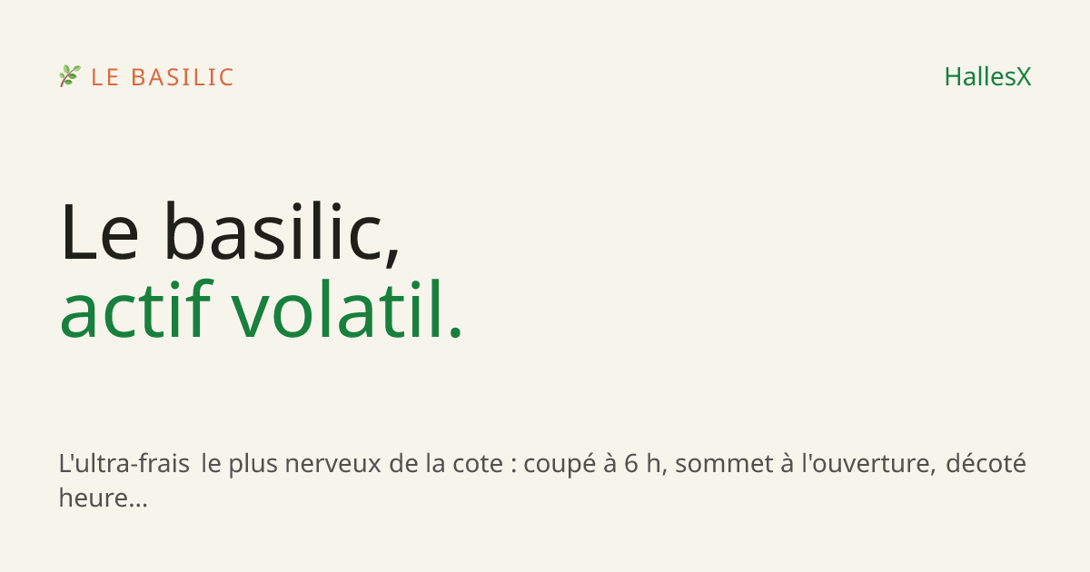 Vignette OG — 🌿 Le basilic
