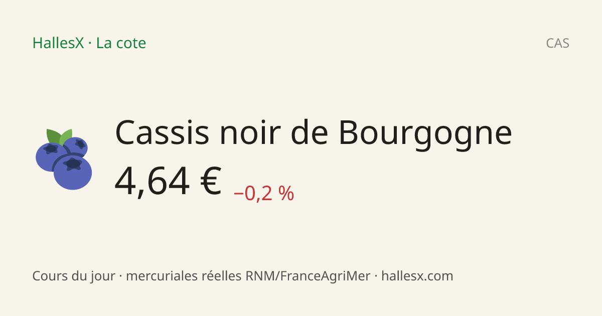 Vignette OG — 🫐 Cassis noir de Bourgogne